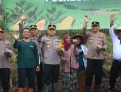 Optimalisasi Lahan Jagung, Polresta Banyuwangi Dukung Ketahanan Pangan Daerah
