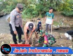 Babinsa Koramil Rogojampi Hadiri Tanam Bambu dan Alpukat di Desa Gintangan