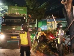 Respon Cepat; Polresta Banyuwangi Lakukan Evakuasi Pohon Tumbang Di Jalan Wilayah Kalipuro