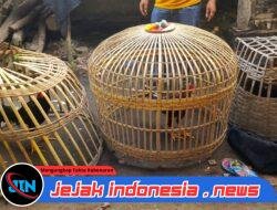 Polresta Banyuwangi; Respon Informasi Masyarakat dan tindak Tegas Praktik Sabung Ayam dan Pihak yang terlibat