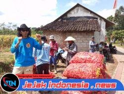 Aliansi LSM Banyuwangi Desak Direksi PTPN 1 Regional 5 dan Gubernur Jatim Mundur