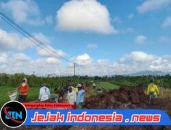 Satgas TMMD ke-125 Kodim 0825 Banyuwangi Genjot Pembangunan Saluran Irigasi, Progres Capai 50 Persen