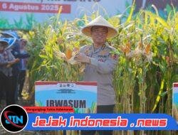 Panen Raya Jagung di Malang, Wujud Nyata Komitmen Polri dalam Ketahanan Pangan Nasional 