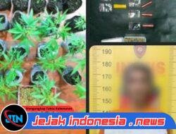 Polres Malang Berhasil Amankan Bandar Sabu Miliki Kebun Ganja di Tumpang