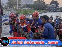 Buaya Muara 2 Meter Berhasil Dievakuasi Damkar di Tipo