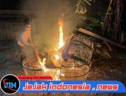 Polisi Bongkar Dua Lokasi Arena Judi Sabung Ayam di Malang