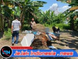 Dapatkan Laporan Masyarakat, Polsek Sedati Datangi Tempat Perjudian Sabung Ayam