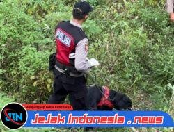 Berkat Anjing Unit K-9 Polda Jatim Indentitas Korban Mutilasi Pacet Berhasil Terungkap