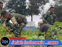 Berkebun Mandiri Satgas Yonif 521/DY Petik Hasil Panen Bersama Masyarakat Distrik Napua