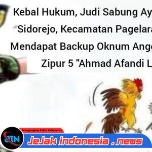 Kebal Hukum, Judi Sabung Ayam di Desa Sidorejo, Kecamatan Pagelaran, Diduga Mendapat Backup Oknum Anggota TNI AD Zipur 5 “Ahmad Afandi Lubis”
