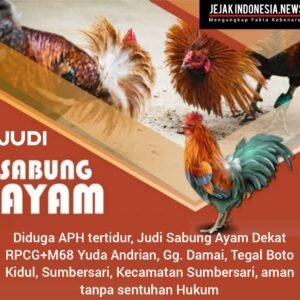 Diduga APH tertidur, Judi Sabung Ayam Dekat RPCG+M68 Yuda Andrian, Gg. Damai, Tegal Boto Kidul, Sumbersari, Kecamatan Sumbersari, aman tanpa sentuhan Hukum