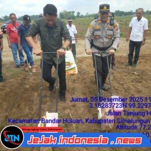 Respon Cepat dan Dekat dengan Masyarakat, Kapolsek Perdagangan Hadiri Penanaman Perdana Jagung di Lahan 72,5 H PTPN IV Bandar Betsy