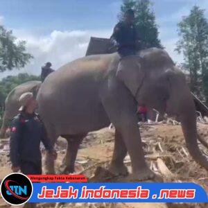 Sinergi Polri dan BKSDA : Gajah Dikerahkan Bersihkan Material Banjir di Pidie Jaya