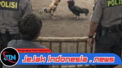 Praktik Perjudian Berjalan Sistematis dan Terbuka di Karangduren Kecamatan Balung,Diduga Kelalaian Struktural Dalam Penegakan Hukum di Polres Jember