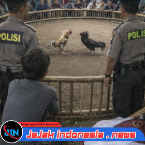 Praktik Perjudian Berjalan Sistematis dan Terbuka di Karangduren Kecamatan Balung,Diduga Kelalaian Struktural Dalam Penegakan Hukum di Polres Jember