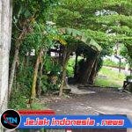 Penjualan Okerbaya dan Miras Diduga Bebas Beroperasi di Kaliwining Rambipuji, Warga Resah di Bulan Puasa