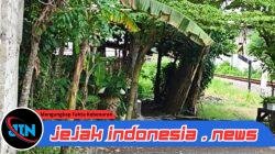 Penjualan Okerbaya dan Miras Diduga Bebas Beroperasi di Kaliwining Rambipuji, Warga Resah di Bulan Puasa