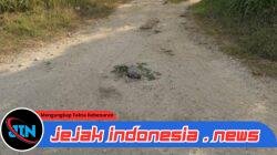 Diduga Marak Peredaran Okerbaya di Puger, Warga Grenden Kapuran Resah