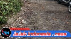 Diduga Beroperasi Bebas dan Atensi Kuat di APH, Warga Resah dengan Aktivitas Okerbaya di Kalisat Jember