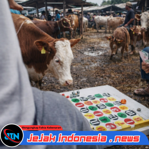 Diduga APH Tutup Mata, Judi Cap Jiki Marak di Pasar Hewan Pujer Bondowoso