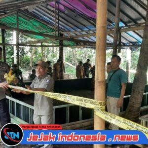 Polsek Baros Polresta Serang Kota Tertibkan dan Bongkar Arena Sabung Ayam di Desa Cisalam
