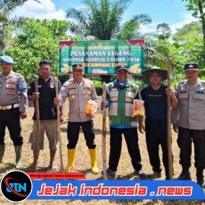 *Tanam Jagung Serentak Kuartal I Tahun 2026, Polsek Simpang Jernih Bidik Ketahanan Pangan*