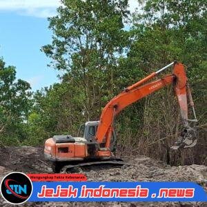 *Ditreskrimsus Polda Babel Tertibkan Tambang Timah Ilegal di Kawasan Hutan Produksi Belinyu*