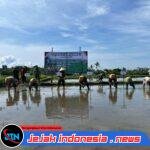 Antisipasi Kemarau Panjang, Banyuwangi Percepat Tanam Padi Serentak
