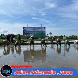 Antisipasi Kemarau Panjang, Banyuwangi Percepat Tanam Padi Serentak