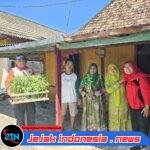 *PDI Perjuangan Lamongan Rayakan Hari Kartini dengan Berbagi Bibit Tanaman Pendamping Padi Sebagai Wujud Ketahanan Pangan Keluarga*