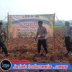 Polsek Panongan Tanam Jagung Hybrida di Ranca Kalapa, Wujud Nyata Dukung Ketahanan Pangan Nasional