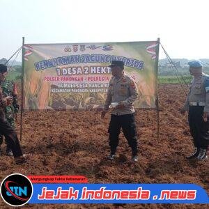 Polsek Panongan Tanam Jagung Hybrida di Ranca Kalapa, Wujud Nyata Dukung Ketahanan Pangan Nasional