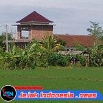 Alih Fungsi LSD Kian Menggila, Subak Jagaraga Desak PUPR Bertindak: Sawah Menyusut, Kos-Kosan Menjamur