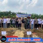 Polsek Pasar Kemis Jadi Motor Penggerak Penanaman Jagung 2 Hektare di Sukamantri
