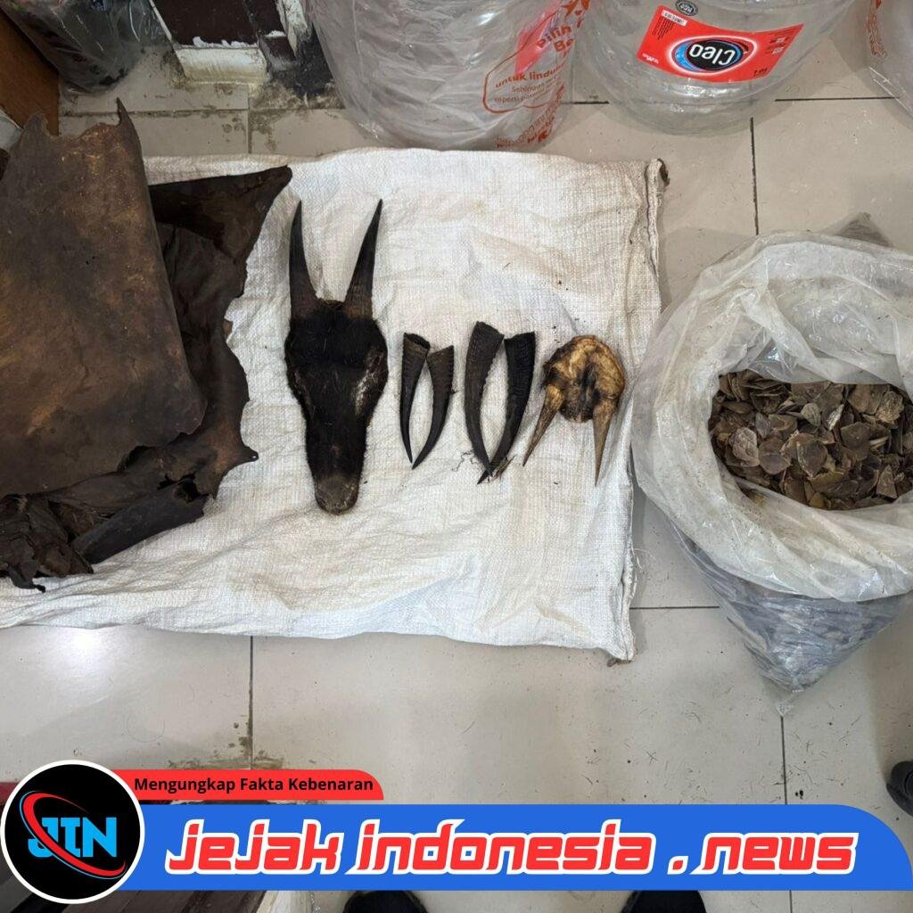 Perdagangan Ilegal Satwa Dilindungi Digagalkan di Sipirok, Polisi Amankan Sisik Trenggiling hingga Kulit Kijang