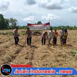 Dukung Program Ketahanan Pangan Polsek Kragilan Tanam Jagung di Lahan Seluas Dua Hektar di Desa Dukuh