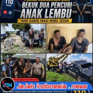 Warga Hubungi 110, Dua Pencuri Anak Lembu di Simalungun Dibekuk Usai Kabur Pakai Sedan dan Tabrak Pemotor
