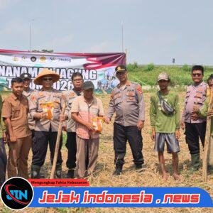 Dukung Swasembada Pangan, Polsek Ciruas Gelar Tanam Jagung Serentak Kuartal II 2026