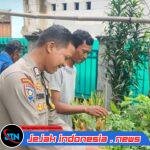 Tingkatkan Ketahanan Pangan, Polres Serang Masifkan Program Poliran Kapolda Banten