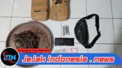 Polsek Bahorok Gagalkan Peredaran 2 Kilogram Ganja di Bukit Lawang, Seorang Pria Diamankan