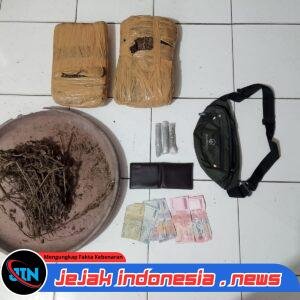 Polsek Bahorok Gagalkan Peredaran 2 Kilogram Ganja di Bukit Lawang, Seorang Pria Diamankan