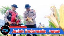 Panen Raya Jagung di Aceh Utara, Kapolres Lhokseumawe Tegaskan Dukungan Polri untuk Swasembada Pangan Nasional