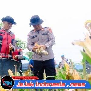 Panen Raya Jagung di Aceh Utara, Kapolres Lhokseumawe Tegaskan Dukungan Polri untuk Swasembada Pangan Nasional