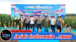 Polda Sumut Ikuti Panen Raya Jagung Serentak Polri Bersama Presiden Prabowo, Dukung Ketahanan Pangan Nasional