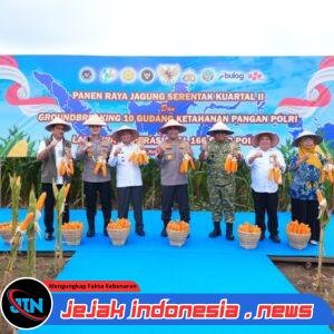 Polda Sumut Ikuti Panen Raya Jagung Serentak Polri Bersama Presiden Prabowo, Dukung Ketahanan Pangan Nasional