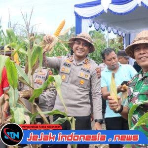 Panen Raya Jagung Serentak di Buleleng Dipimpin Wakapolda Bali, Polisi Tegaskan Petani Tetap Jadi Pelaku Utama