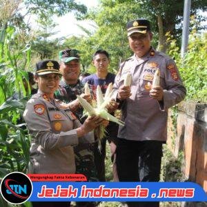 Polres Jembrana Dukung Panen Raya Jagung Serentak, Hasil Panen Disalurkan untuk Program Makan Bergizi Gratis