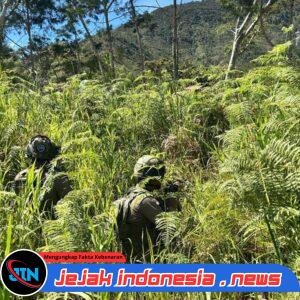 *Satgas Damai Cartenz Hadir di Tengah Warga Muara Puncak Jaya Lewat Patroli Jalan Kaki*