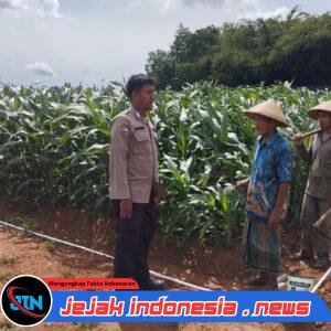 POLIRAN: PROGRAM KEPEDULIAN POLRI DALAM MENJAGA KETAHANAN PANGAN DAN MENANGGULANGI PENGANGGURAN DI WILAYAH HUKUM POLRES SERANG