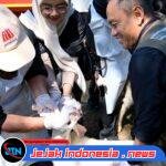 Pemkab Banyuwangi Periksa Kesehatan Hewan Kurban, Pastikan Layak saat Idul Adha